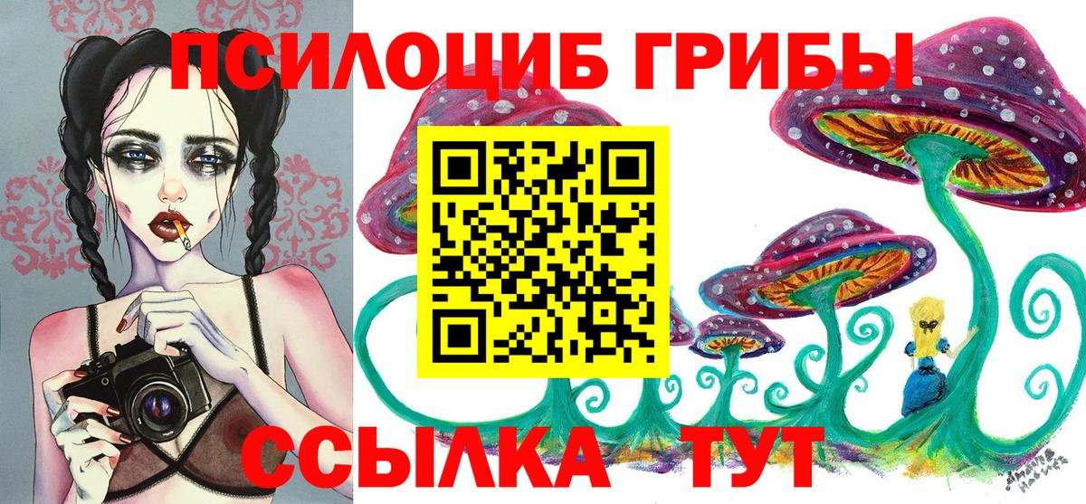 Псилоцибиновые грибы GOLDEN TEACHER Скопин
